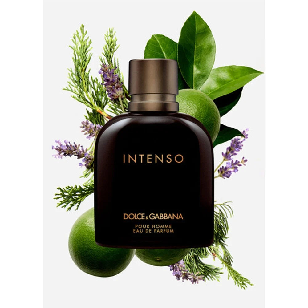 Dolce & Gabbana Intenso