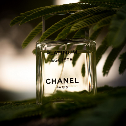 Chanel Platinum Egoiste Pour Homme